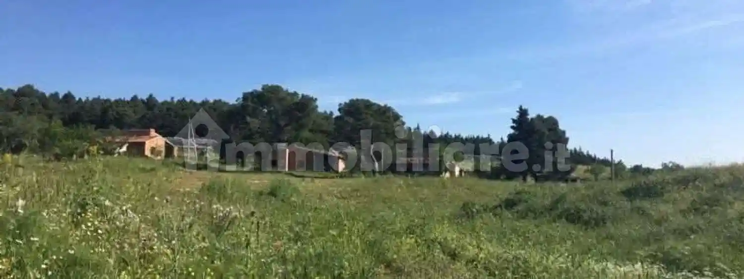 Rustico - Casale in vendita a Bitonto