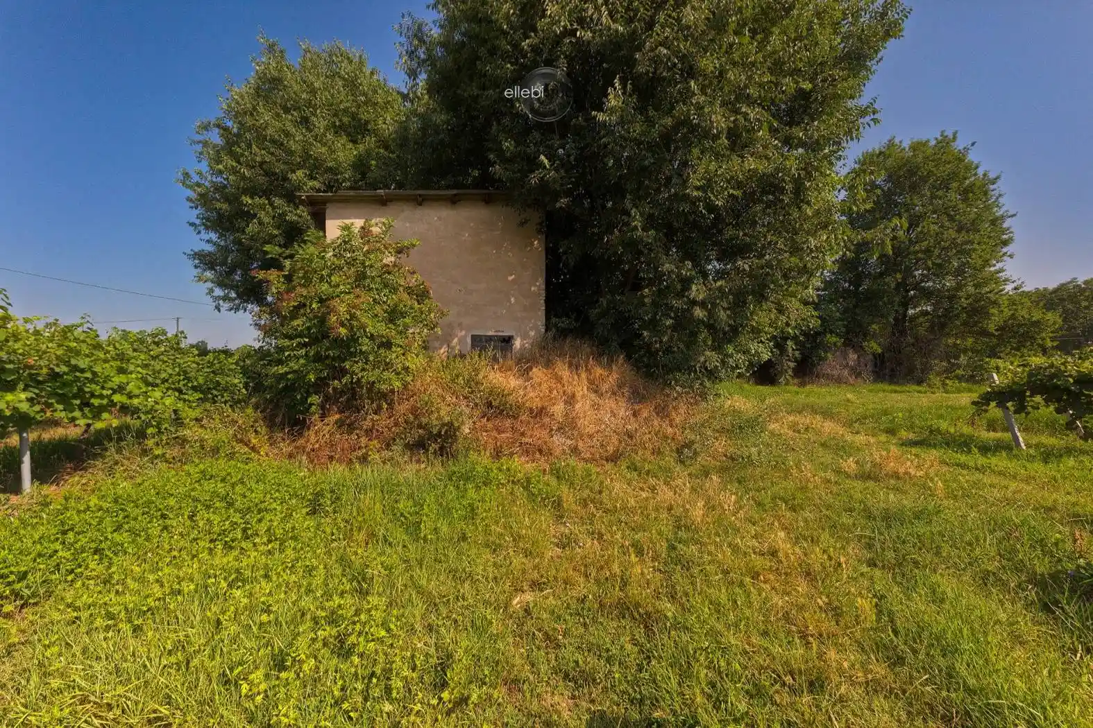 Rustico - Casale in vendita a Correggio