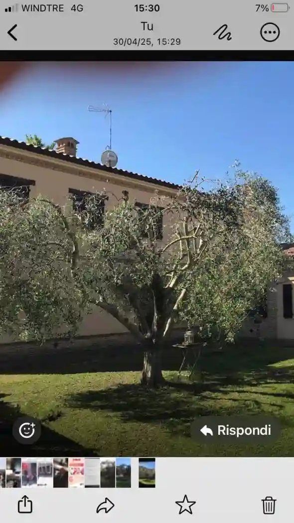 Appartamento in villa via Roncaglia, Roncaglia, Jesi - foto 4