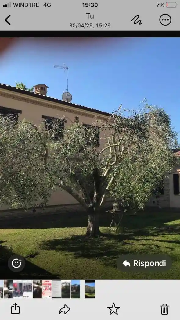 Appartamento in villa via Roncaglia, Roncaglia, Jesi - foto 2