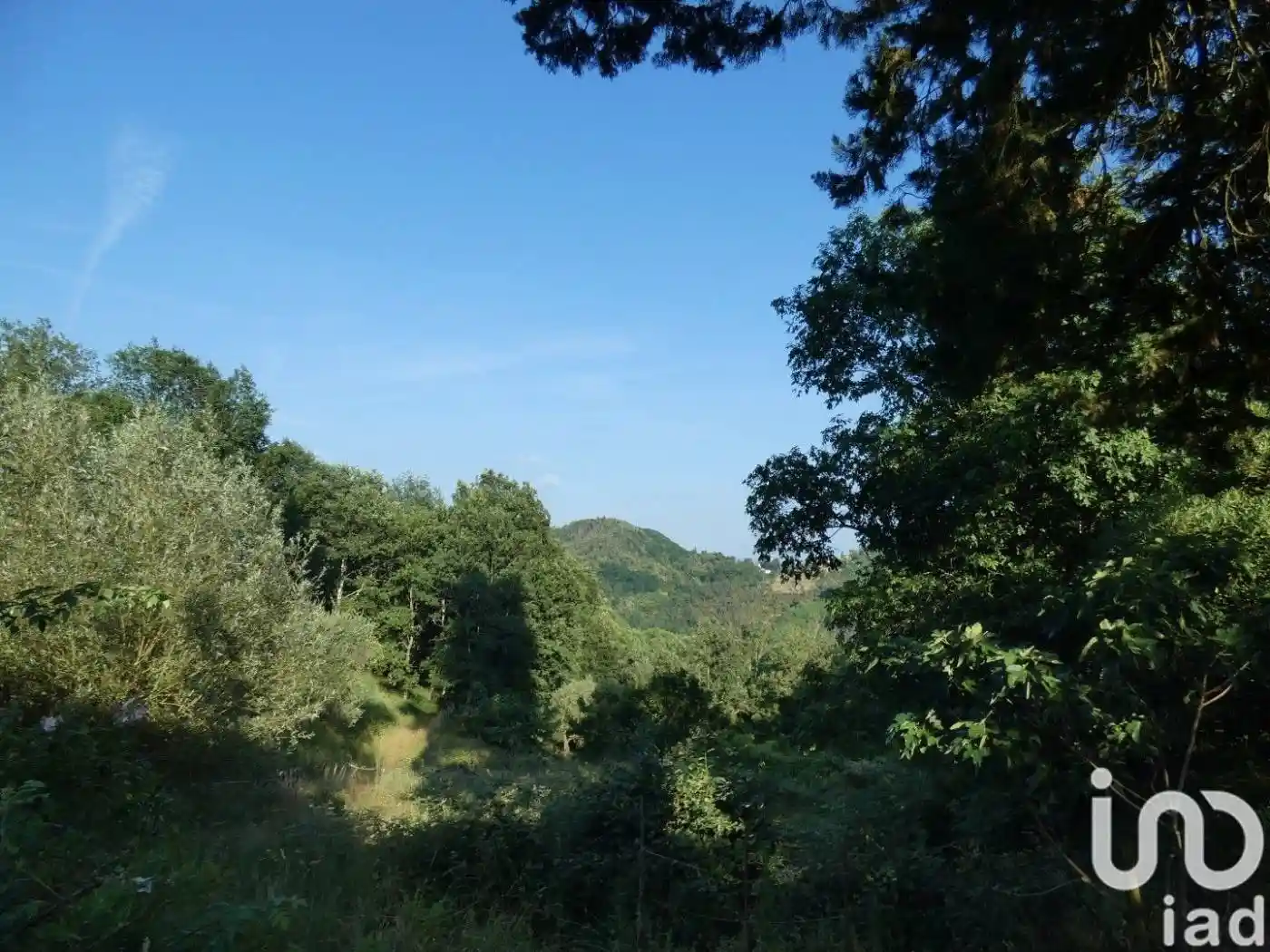 Casale via San Rocco 15, Carrodano - foto 5