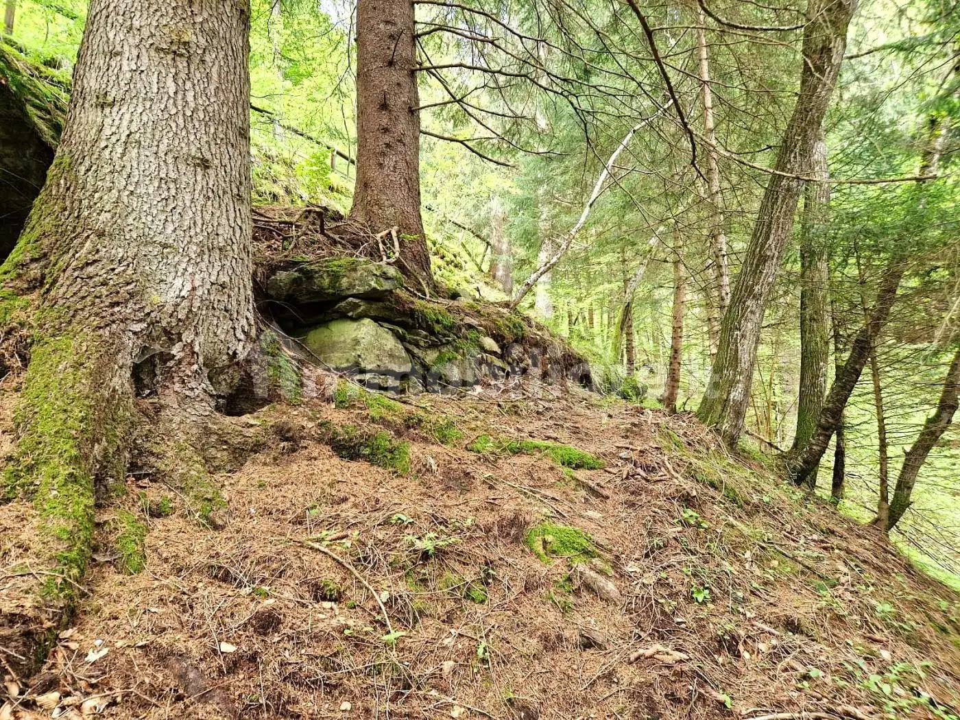 Baita Località Parol 1, Bresimo - foto 2