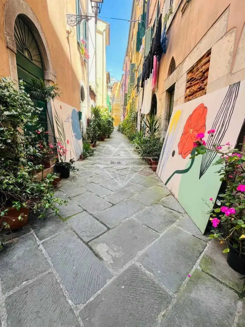 Casa indipendente in affitto a Carrara