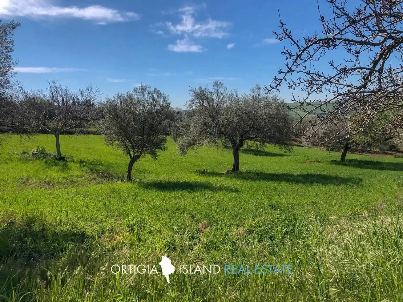 Rustico - Casale in vendita a Palazzolo Acreide