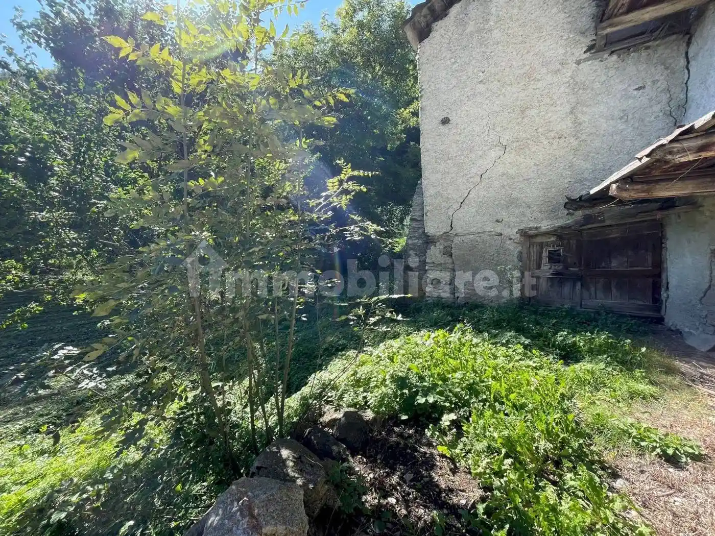 Rustico - Casale in vendita a Casteldelfino