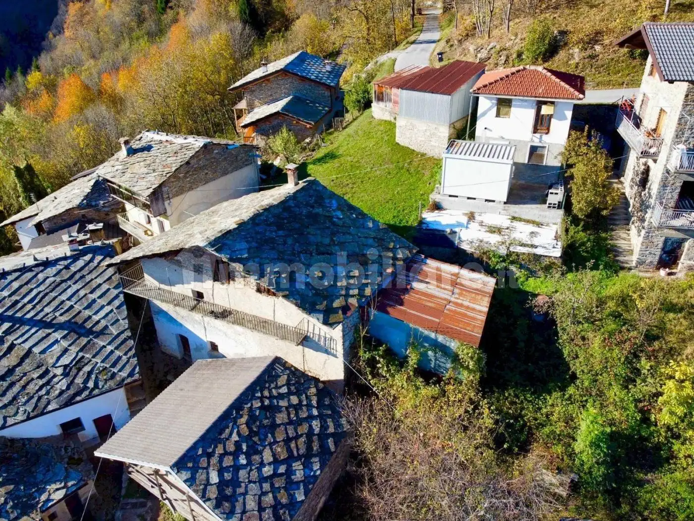 Rustico - Casale in vendita a Frassino