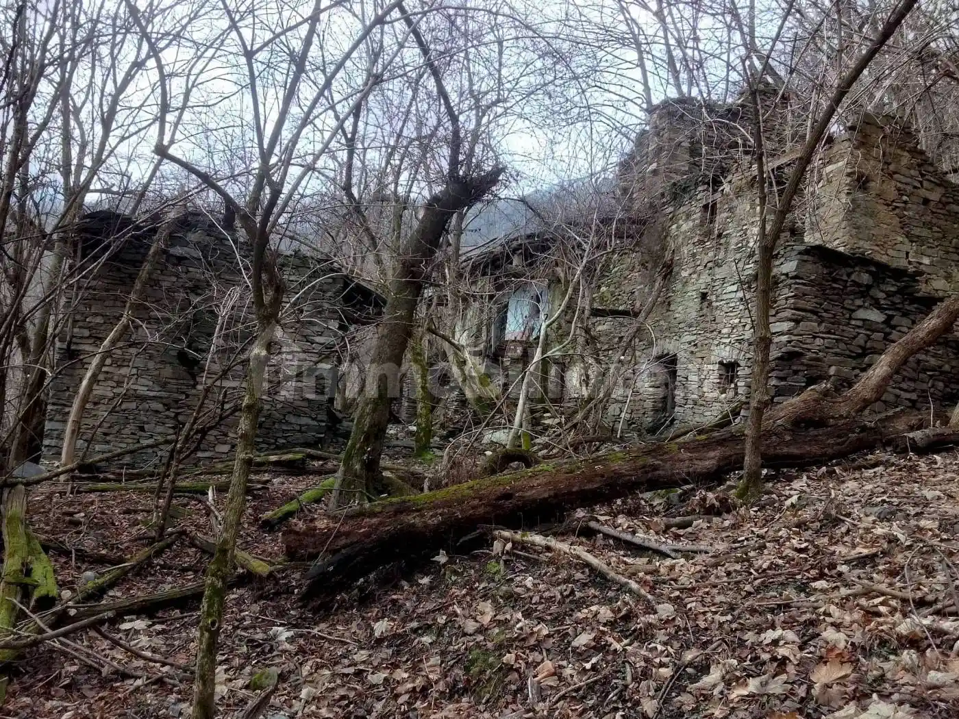 Rustico - Casale in vendita a Paesana