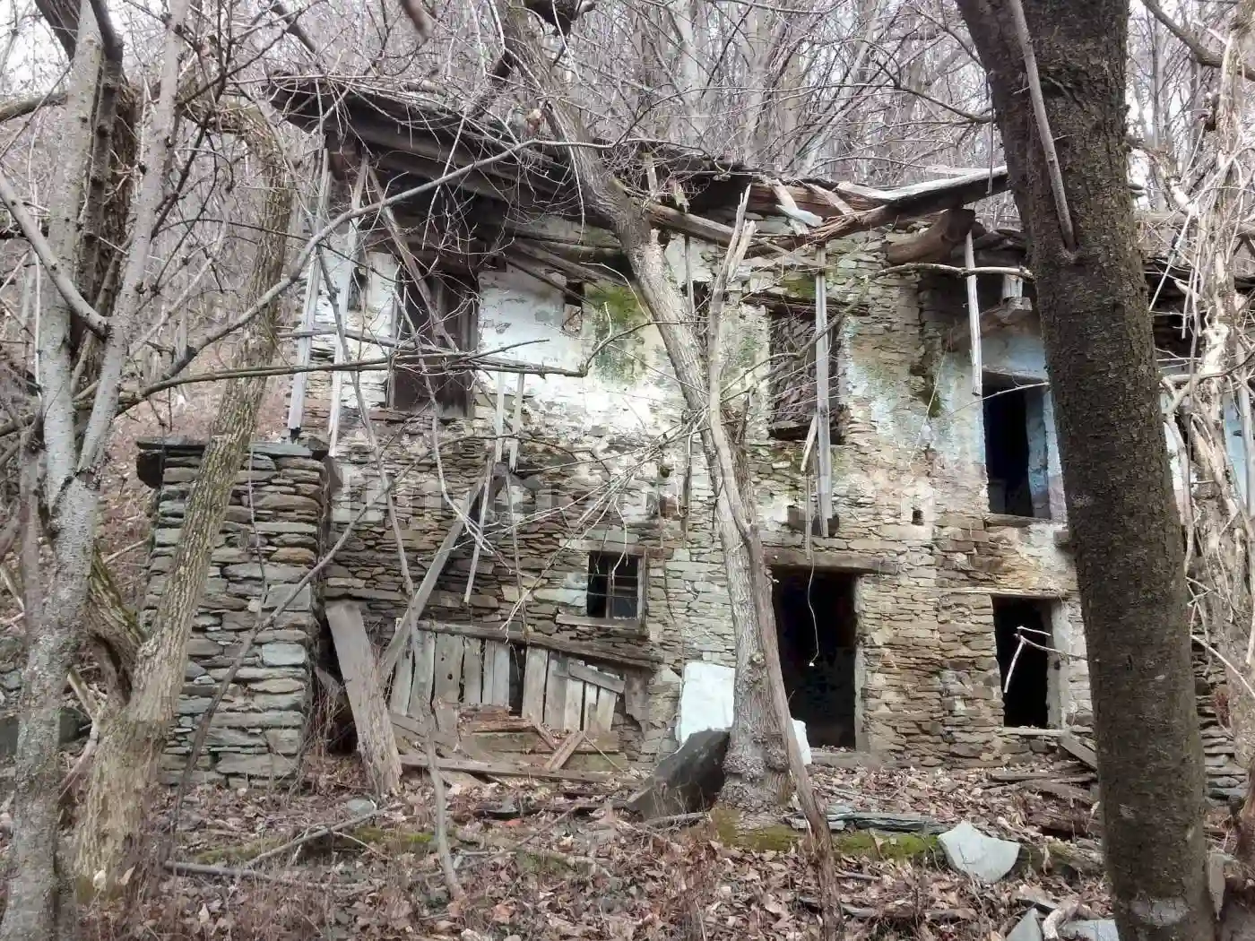 Rustico - Casale - foto 2