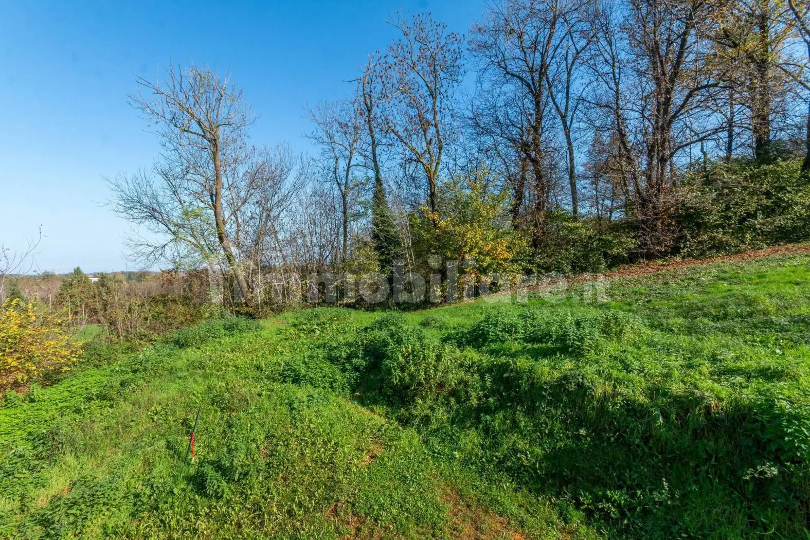 Rustico via Molinasso, 43, Bernezzo - foto 5