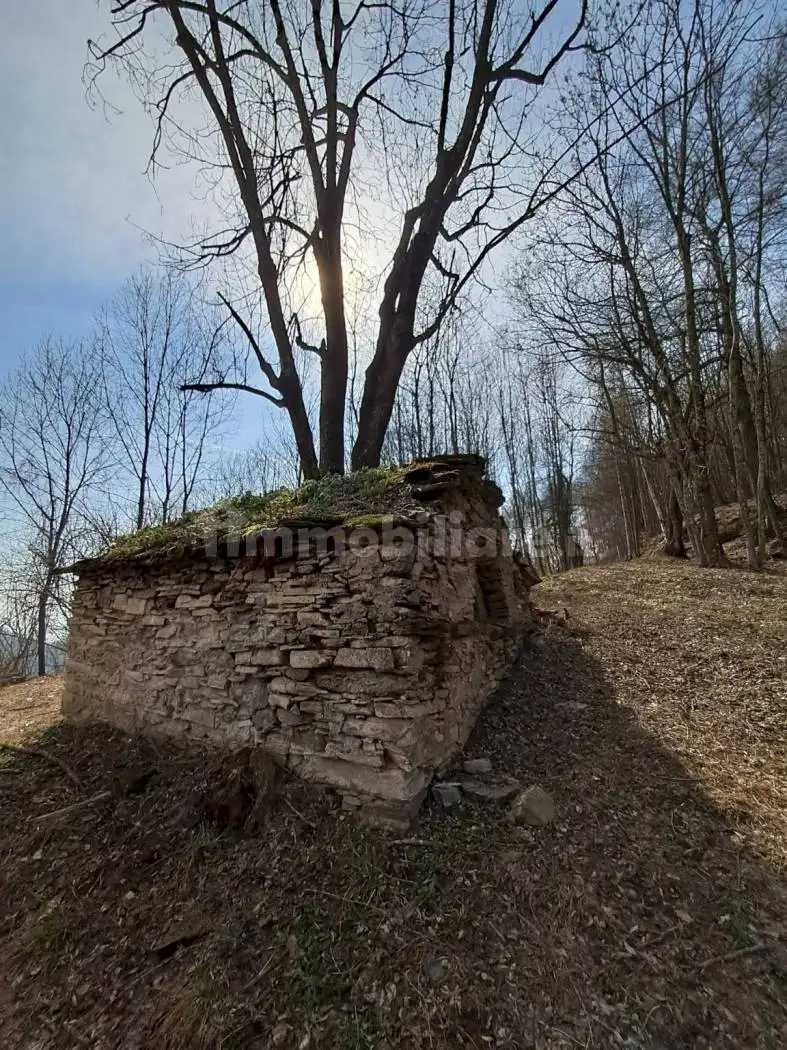 Baita frazione Tetto Golè, Bernezzo - foto 3