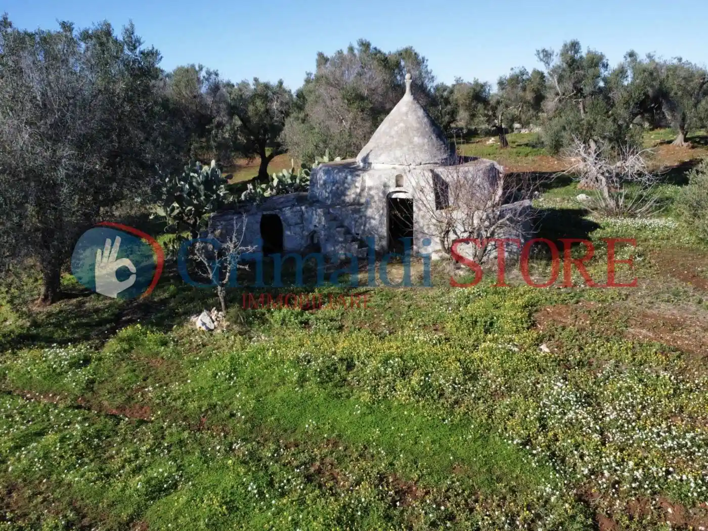 Villa in vendita a Carovigno