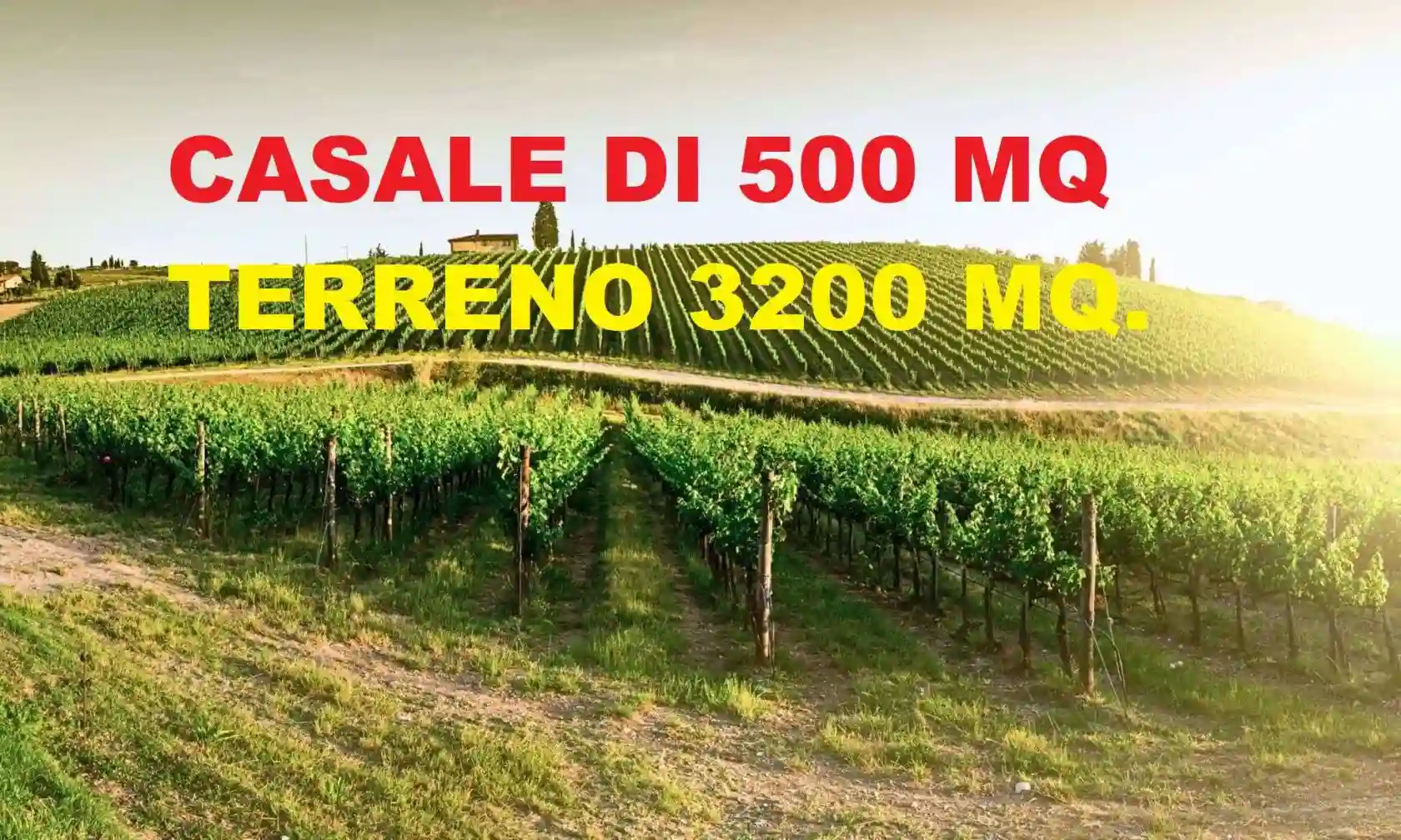 Rustico - Casale - foto 5