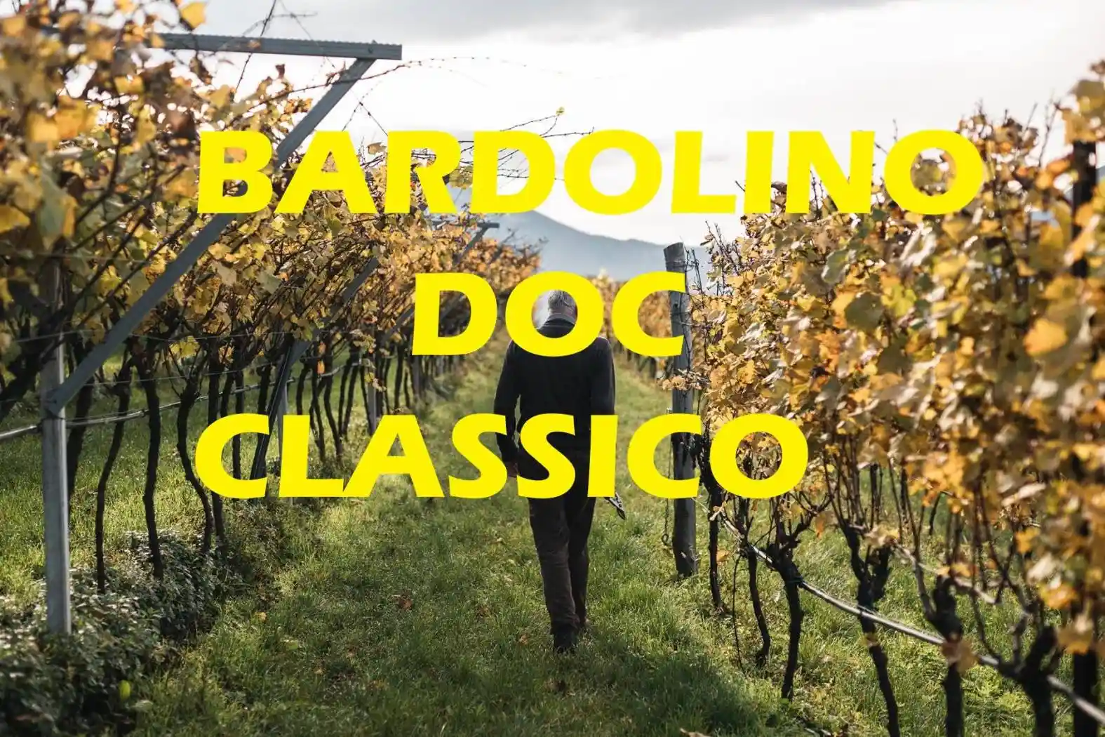 Rustico - Casale in vendita a Bardolino