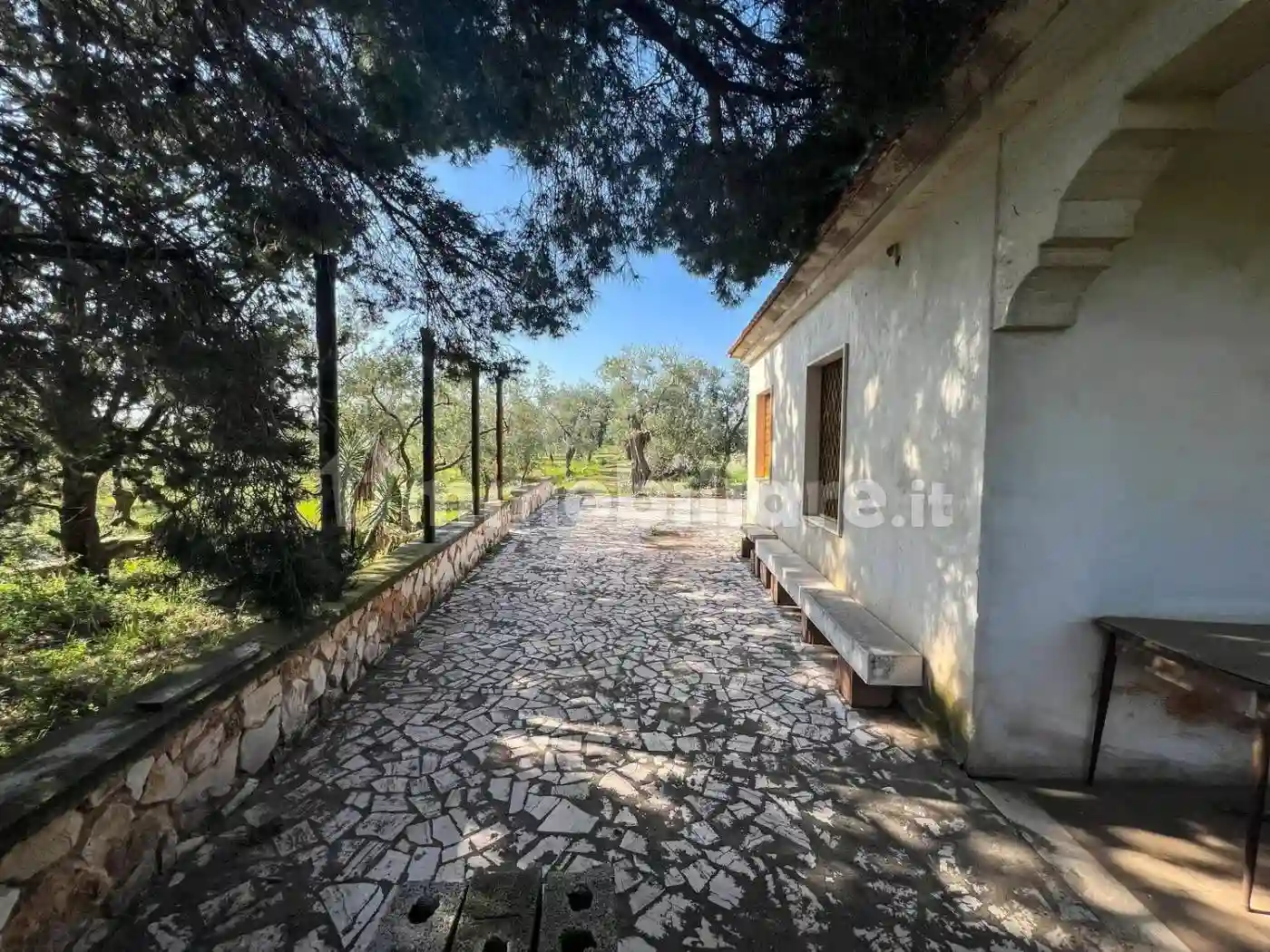 Rustico - Casale - foto 4