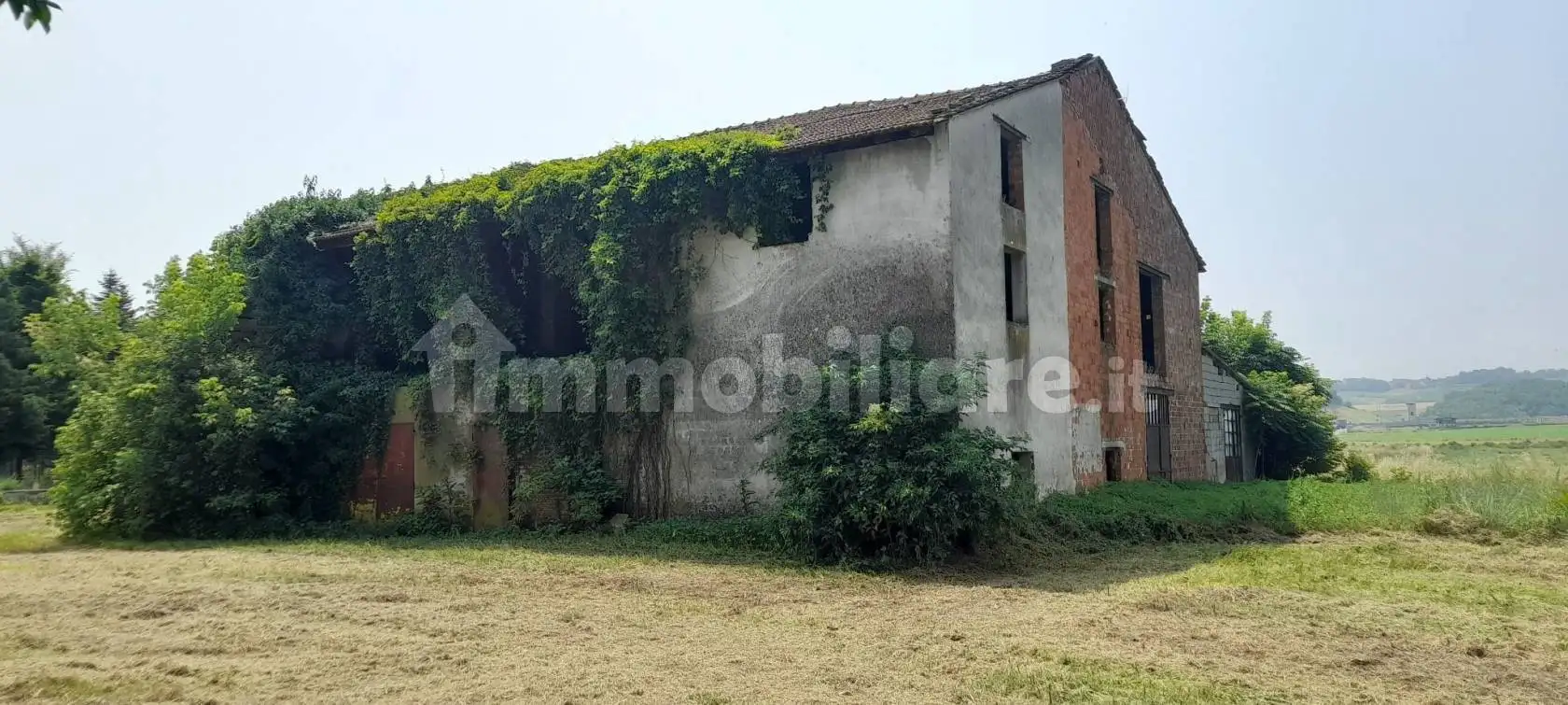 Cascina Località Ghelfa, Arena Po - foto 3