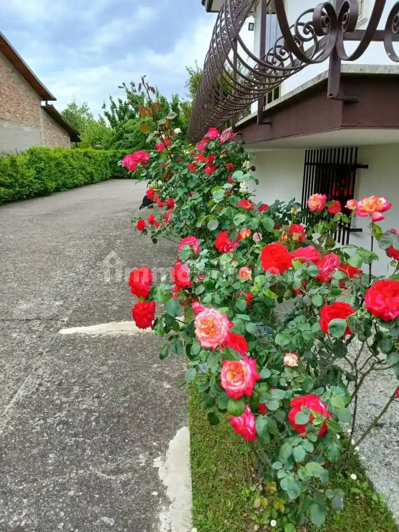 Villa in vendita a Dolo