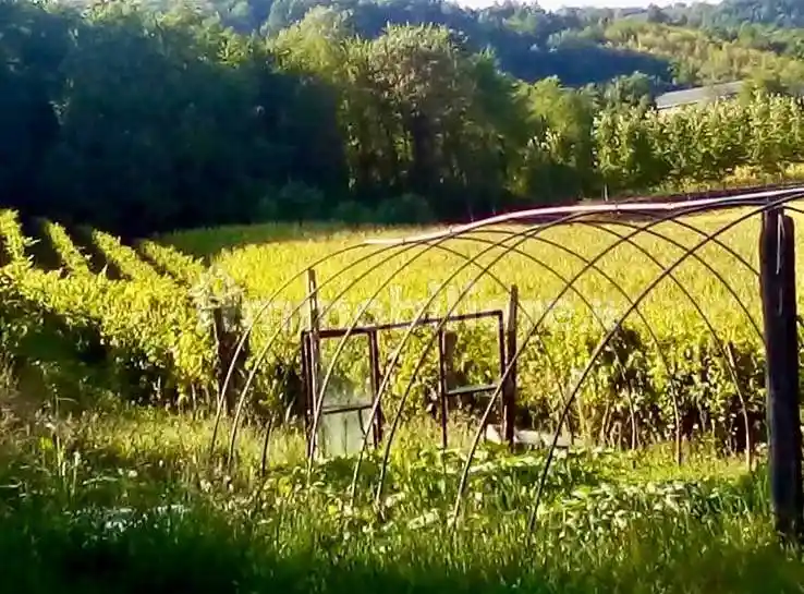 Rustico - Casale in vendita a Cassine