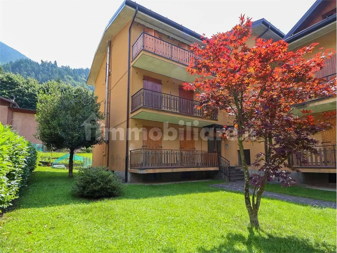 Appartamento in vendita a Gandellino