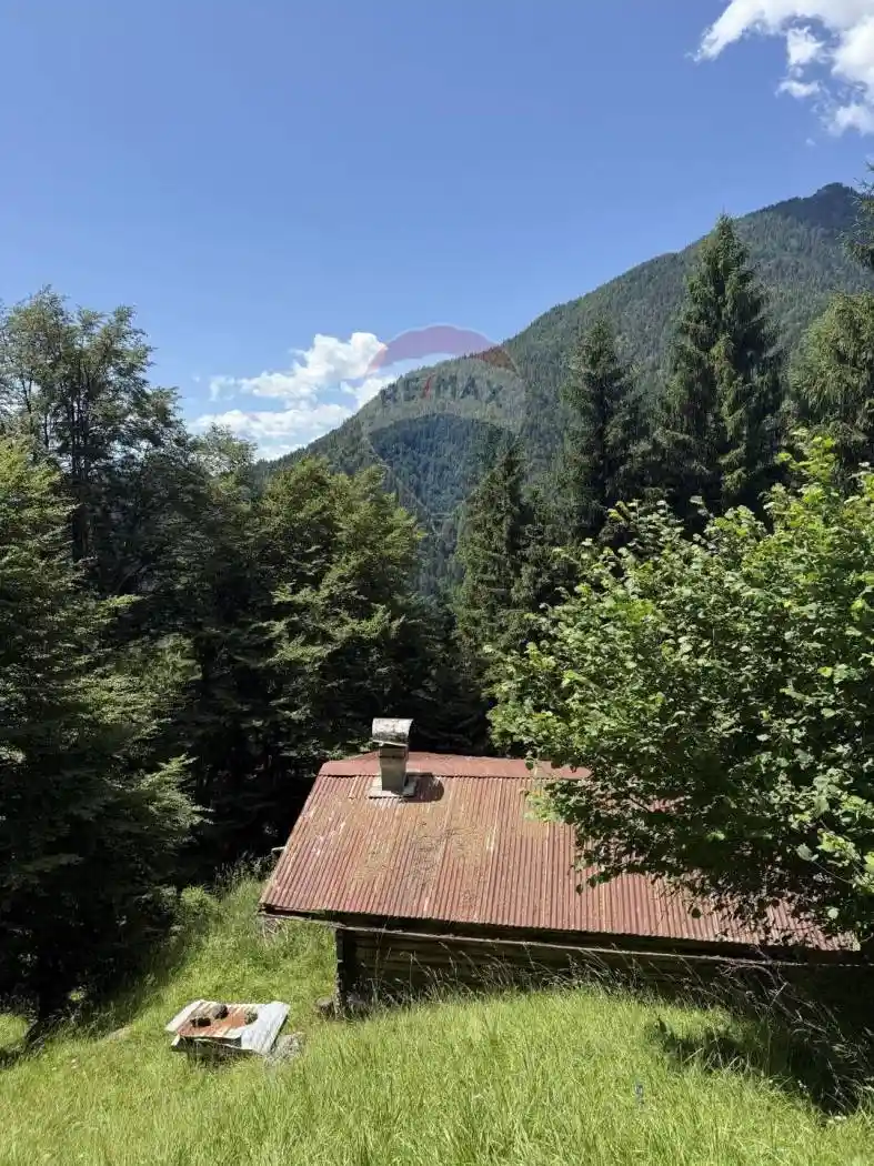 Rustico via Rizzios Snc, Calalzo di Cadore - foto 4
