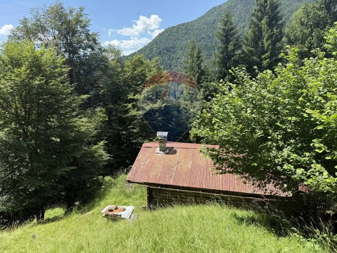 Rustico via Rizzios Snc, Calalzo di Cadore - foto 5