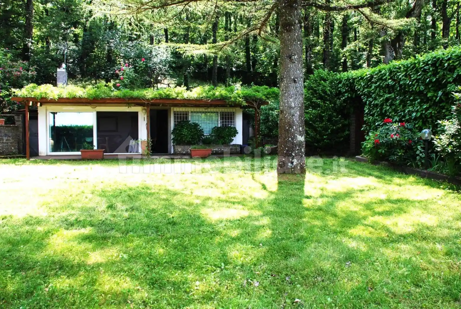 Villa unifamiliare Strada Provinciale Cassia Cimina, Canepina - foto 3