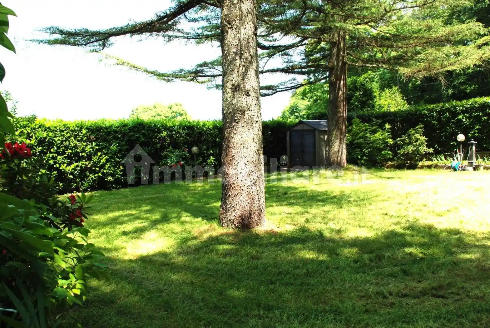 Villa unifamiliare Strada Provinciale Cassia Cimina, Canepina - foto 4