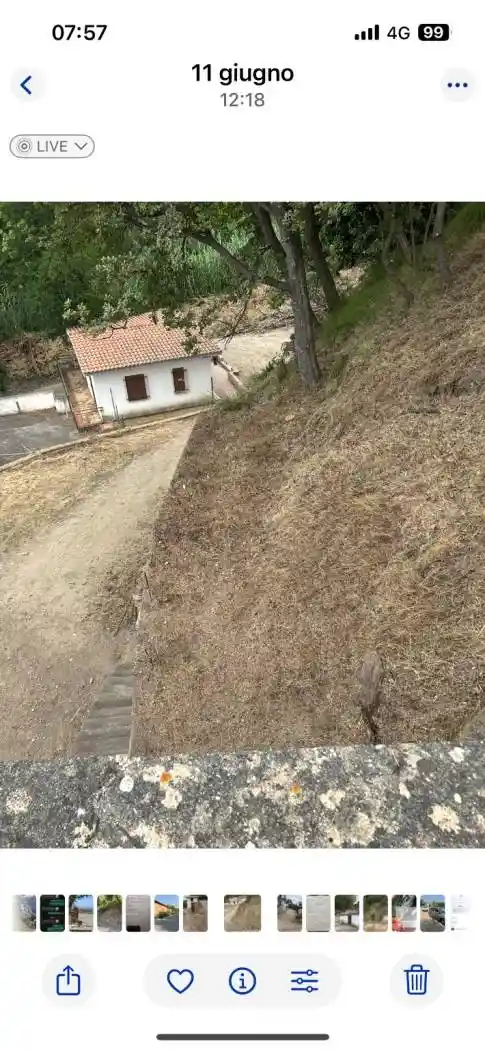 Palazzo - Edificio - foto 4