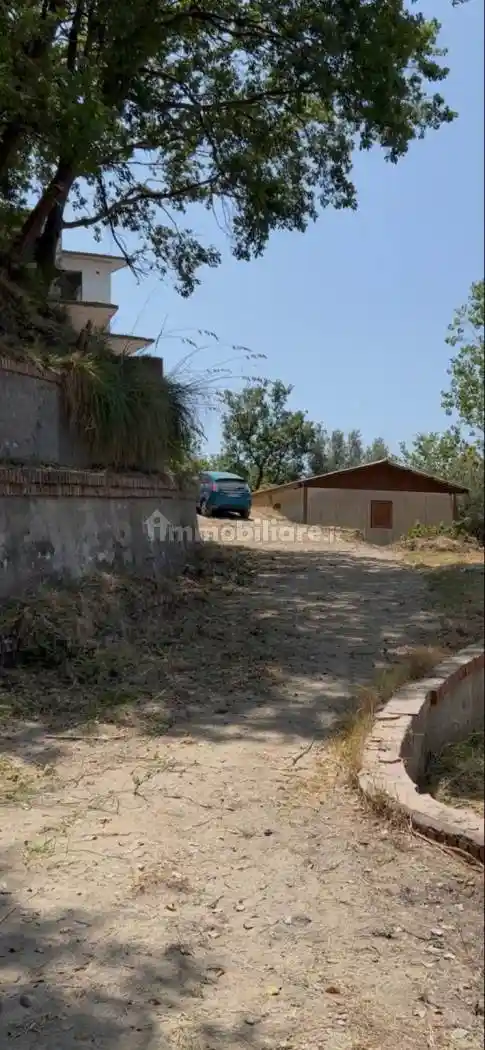 Palazzo - Edificio - foto 5