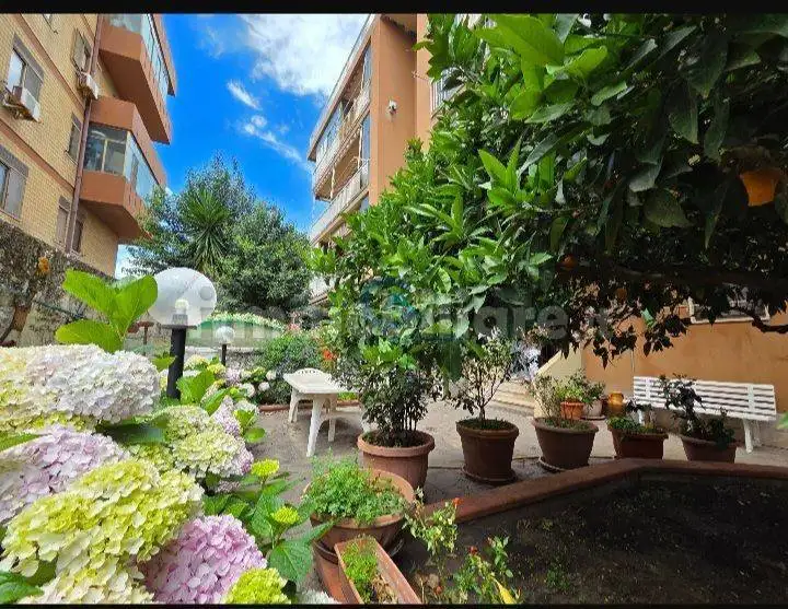 Appartamento in affitto a Catanzaro