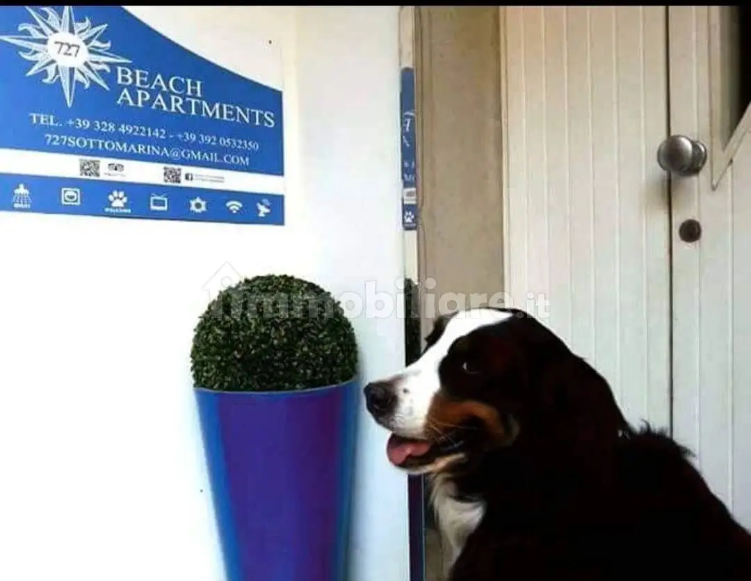 Bilocale Calle dei Celoni, Sottomarina, Chioggia - foto 4