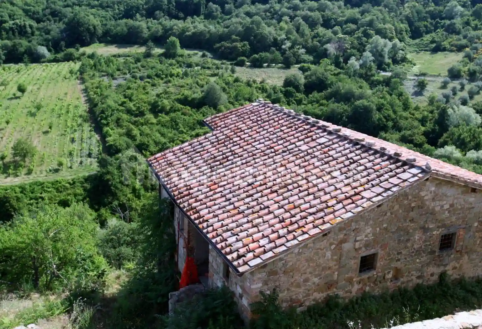 Palazzo - Edificio - foto 5