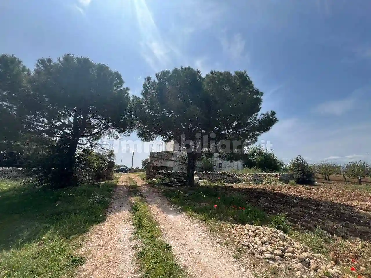 Palazzo - Edificio - foto 3