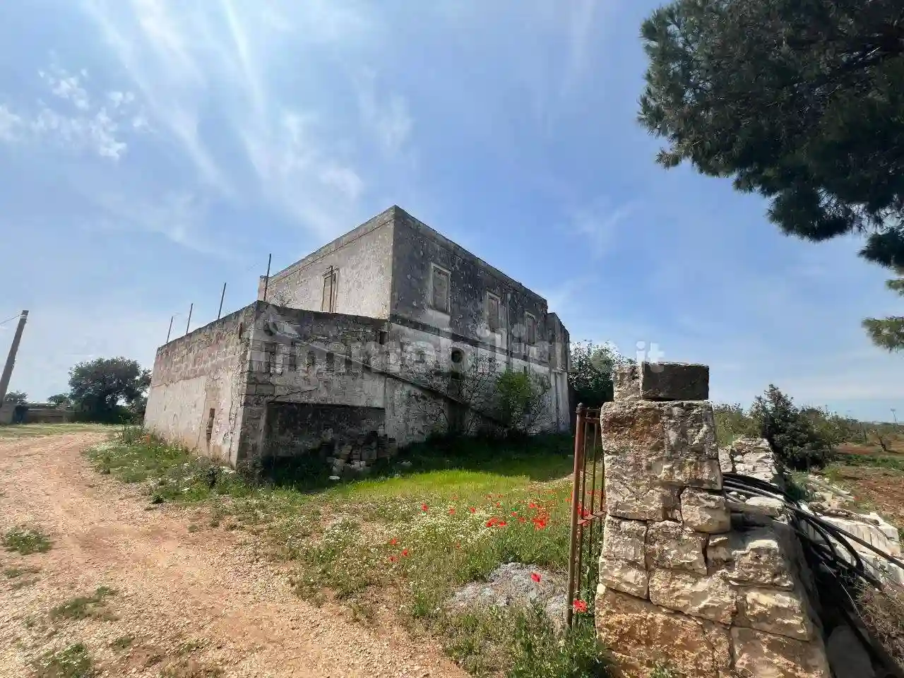 Palazzo - Edificio - foto 4