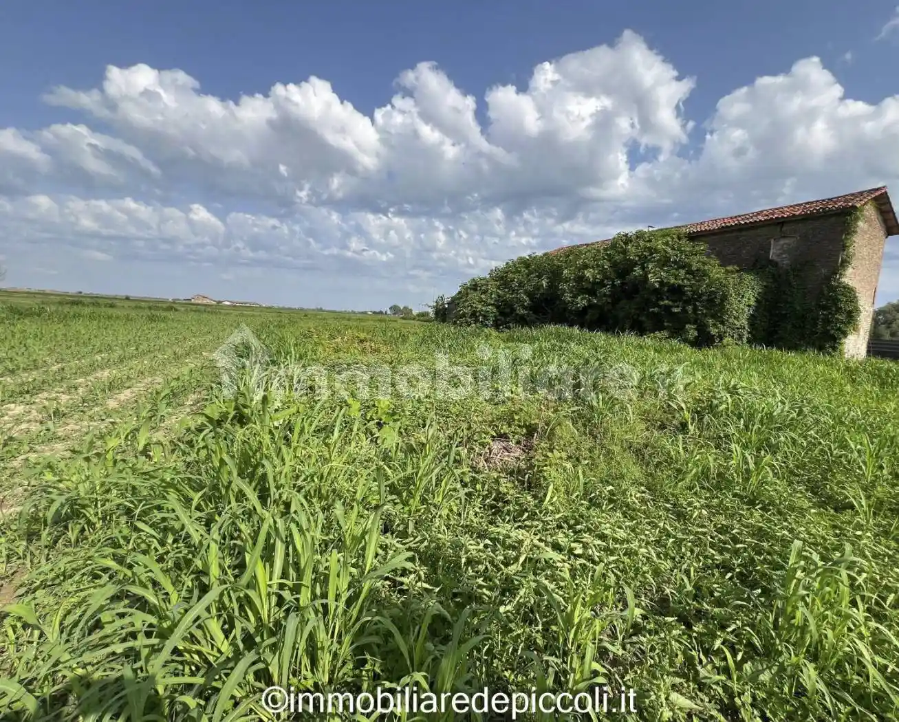 Rustico via Adriatico 42, Cà Nani, Piave Vecchia, Jesolo - foto 3