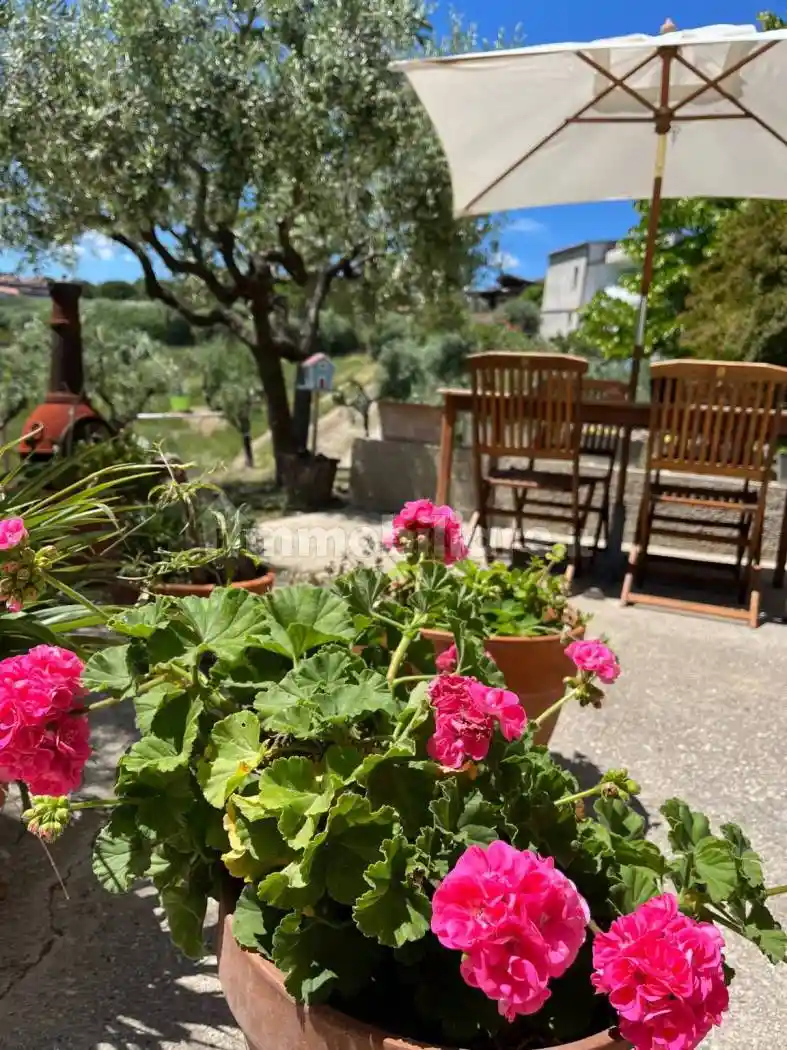 Appartamento in affitto a Tortoreto