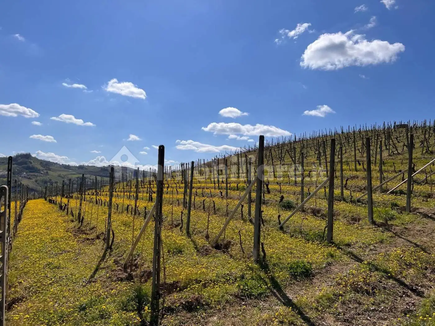 Casale frazione Bruciati, Calamandrana - foto 5