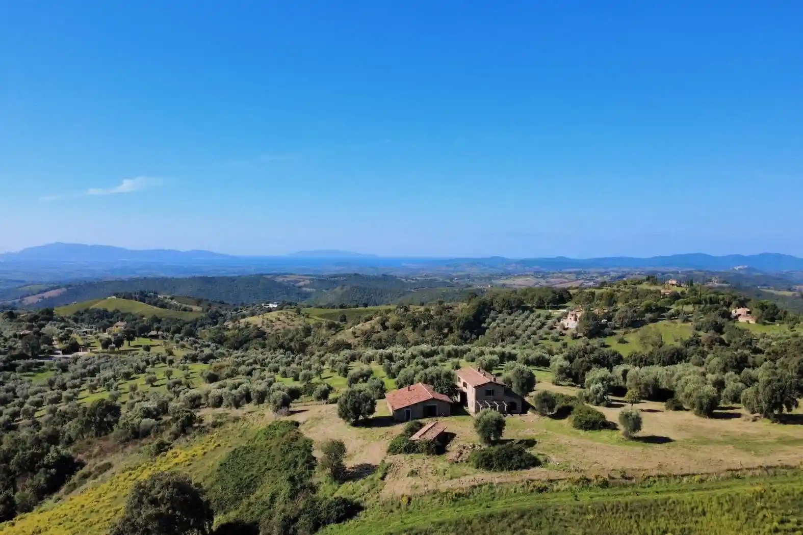 Rustico - Casale in vendita a Magliano in Toscana