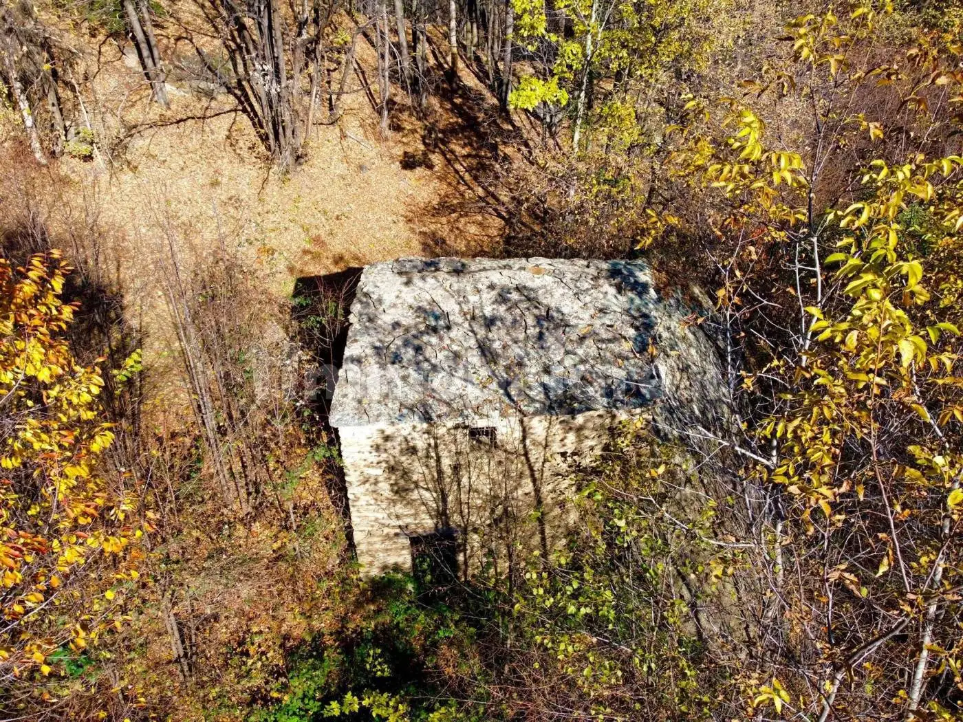 Rustico - Casale in vendita a Frassino