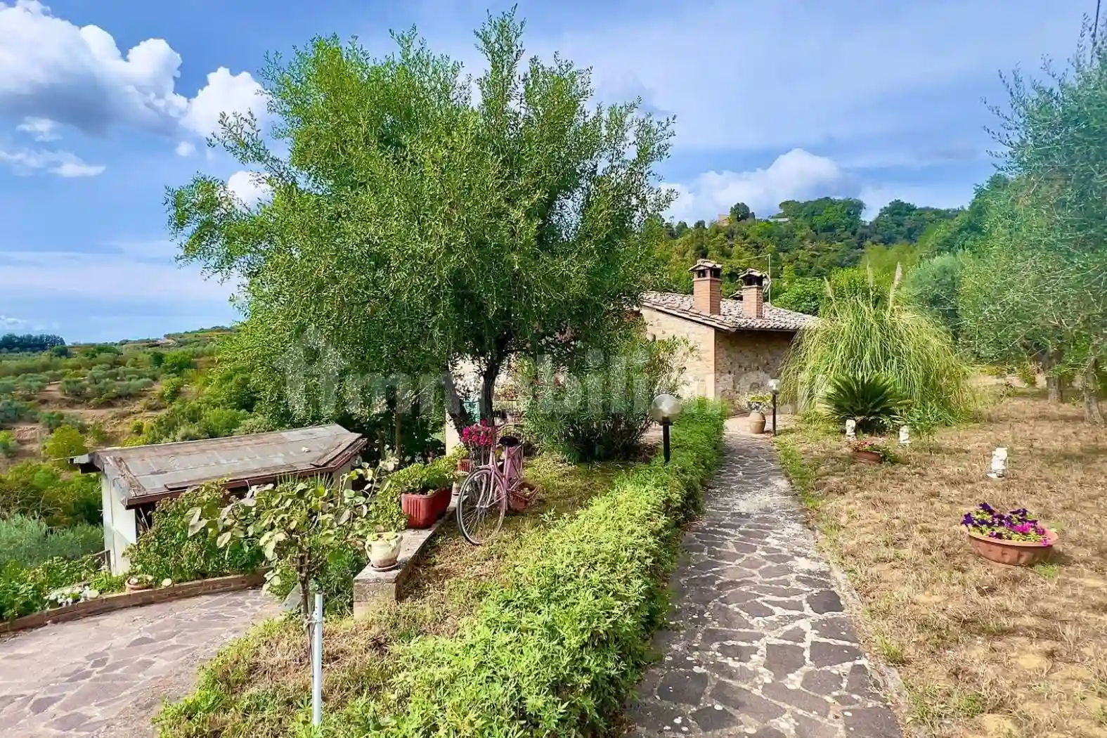 Rustico - Casale - foto 4