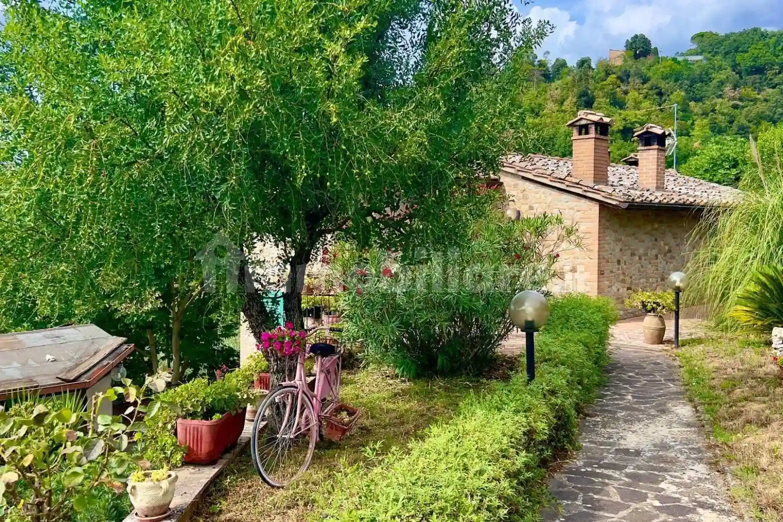 Rustico - Casale - foto 5