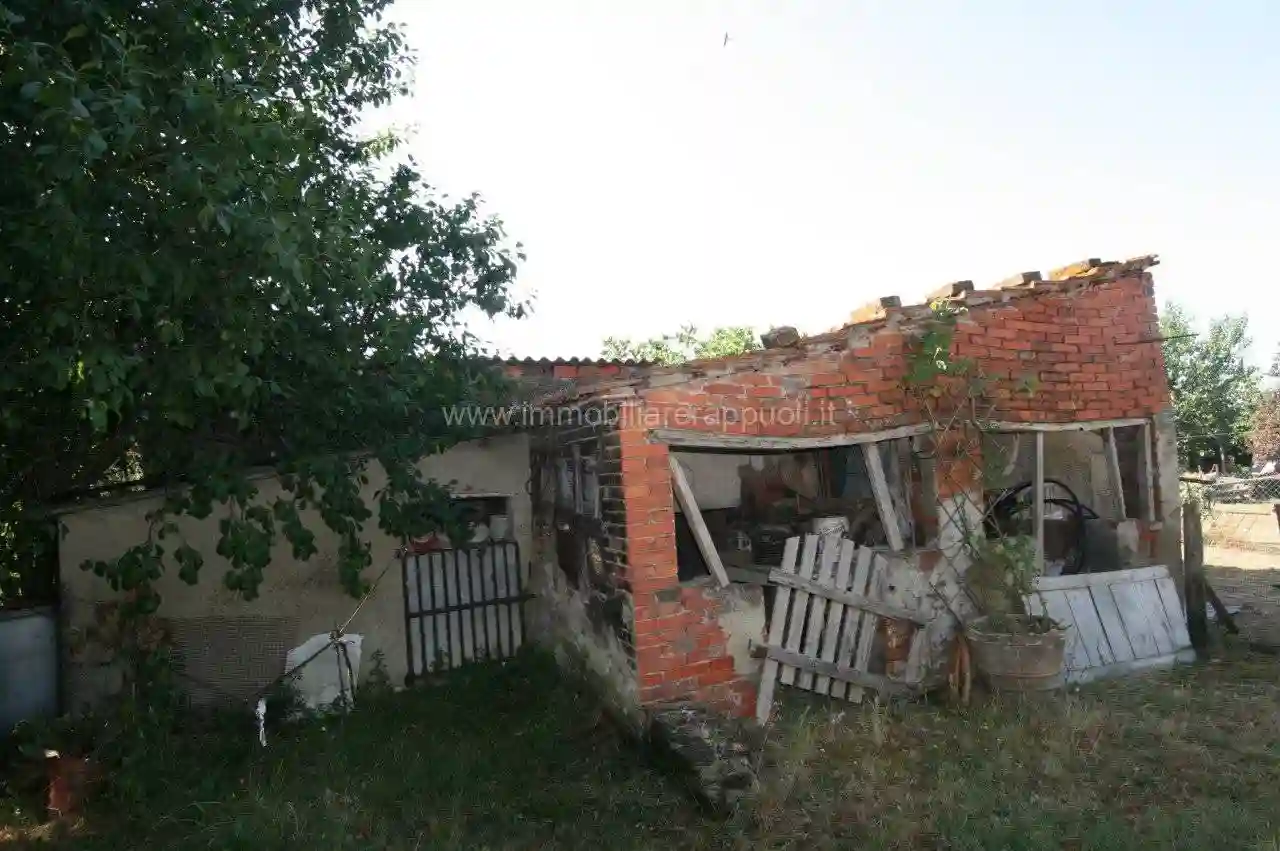 Rustico - Casale - foto 4