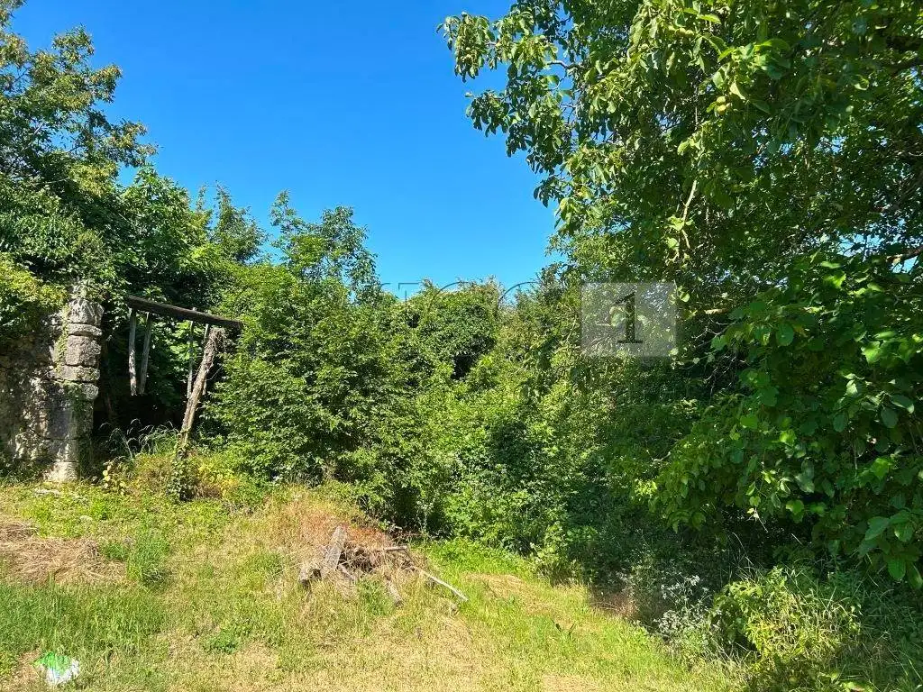 Rustico via Tavella 10, Barbarano Mossano - foto 5