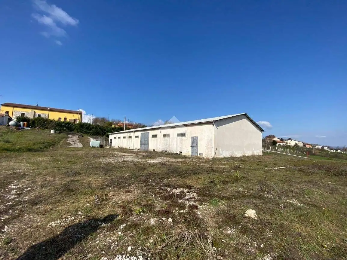 Rustico Contrada San Pietro, Baranello - foto 3