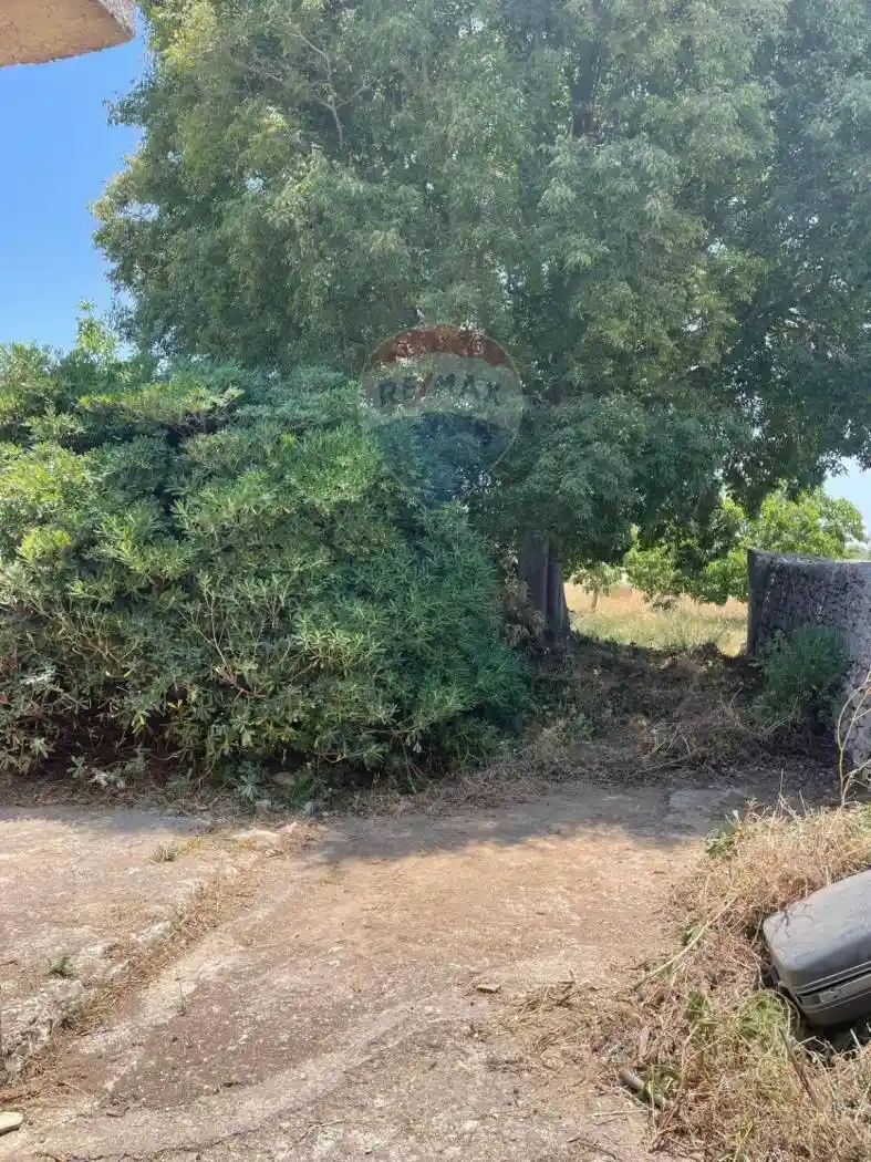 Rustico contrada palazzella, Saitta, Modica - foto 4