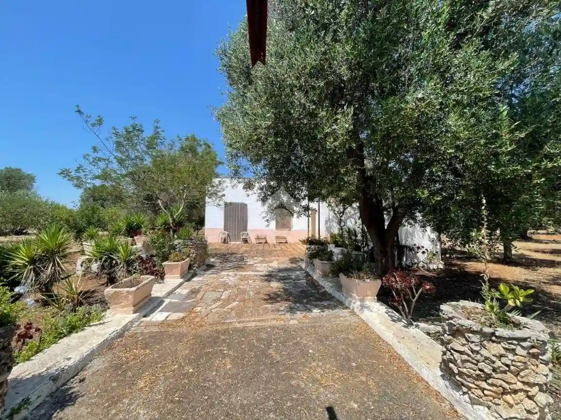 Rustico - Casale - foto 3