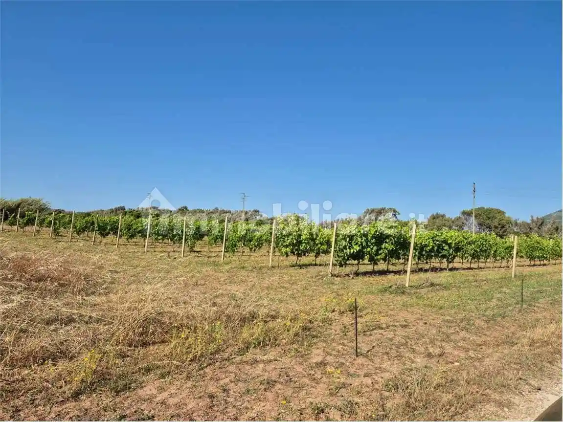 Rustico - Casale in vendita a Alghero