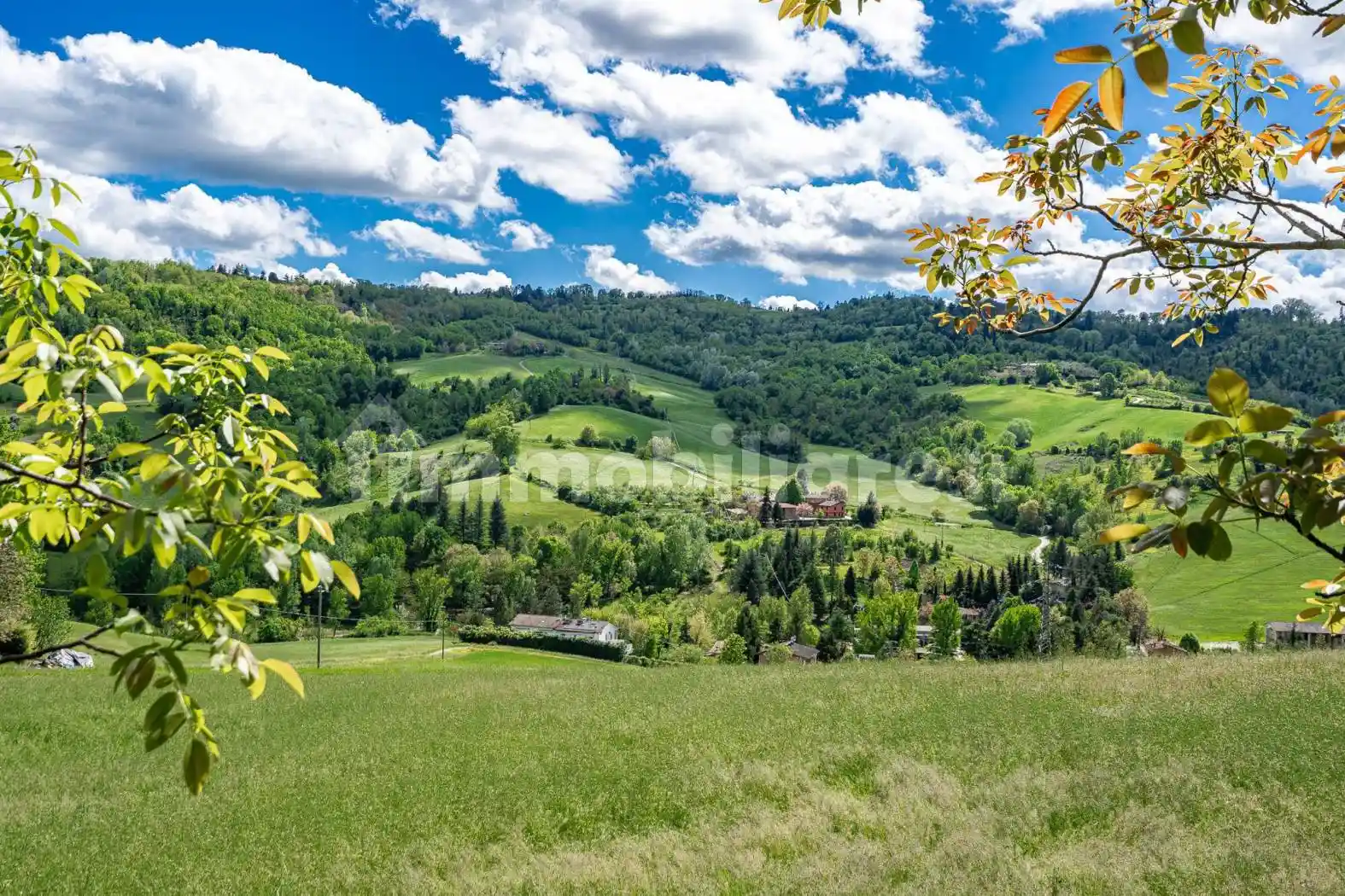 Palazzo - Edificio - foto 2