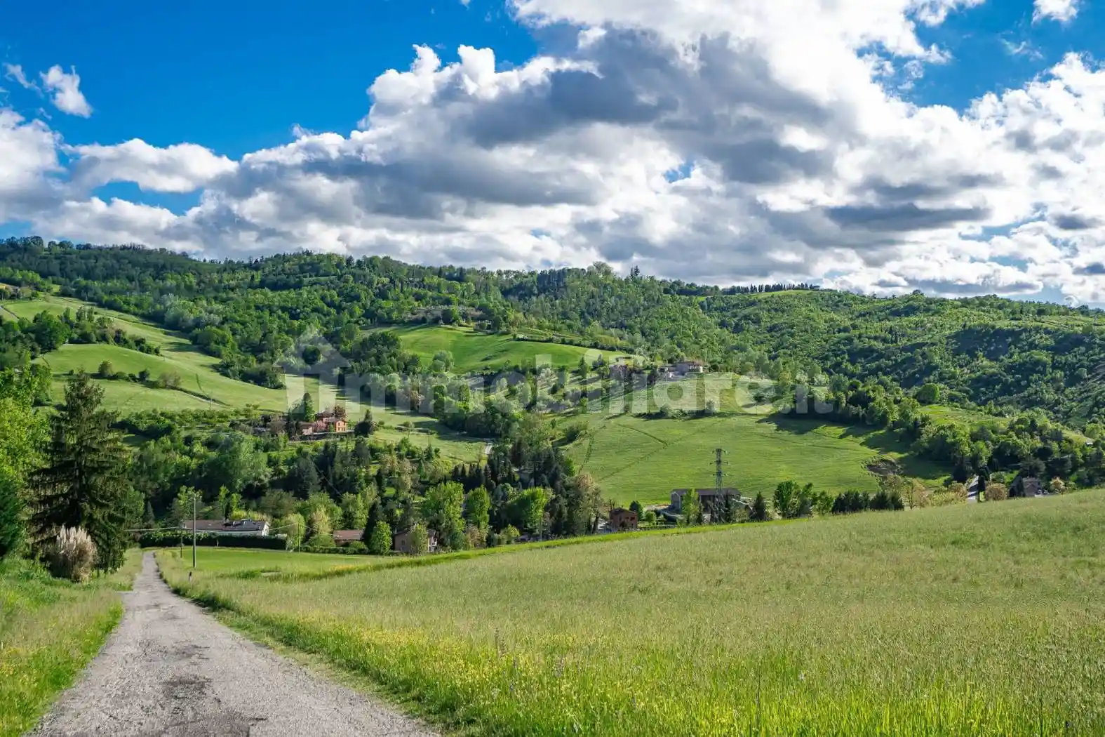 Palazzo - Edificio - foto 4