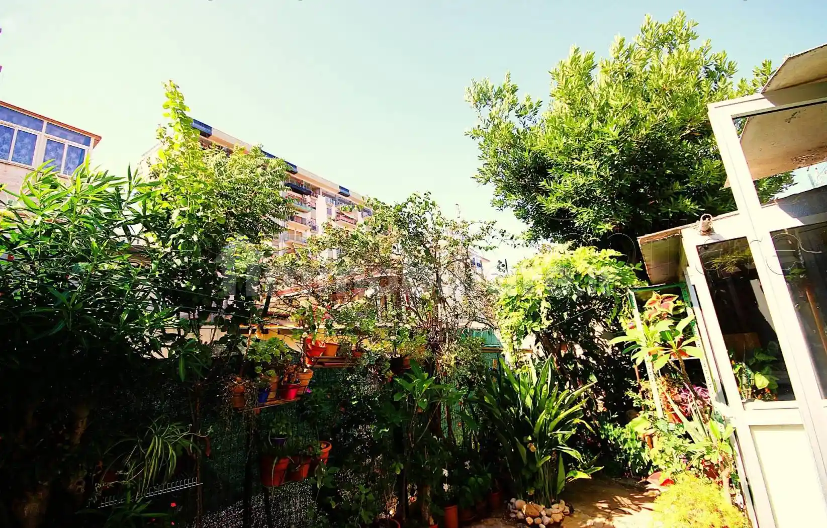 Casa indipendente in vendita a Palermo