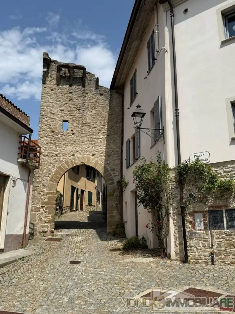 Palazzo - Edificio in vendita a Niella Belbo